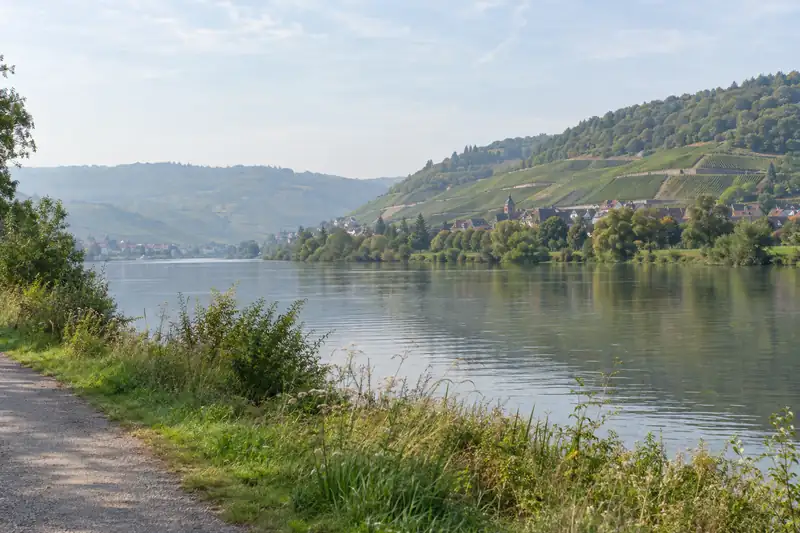 Der Main bei Klingenberg mit Weinbergen am Hang